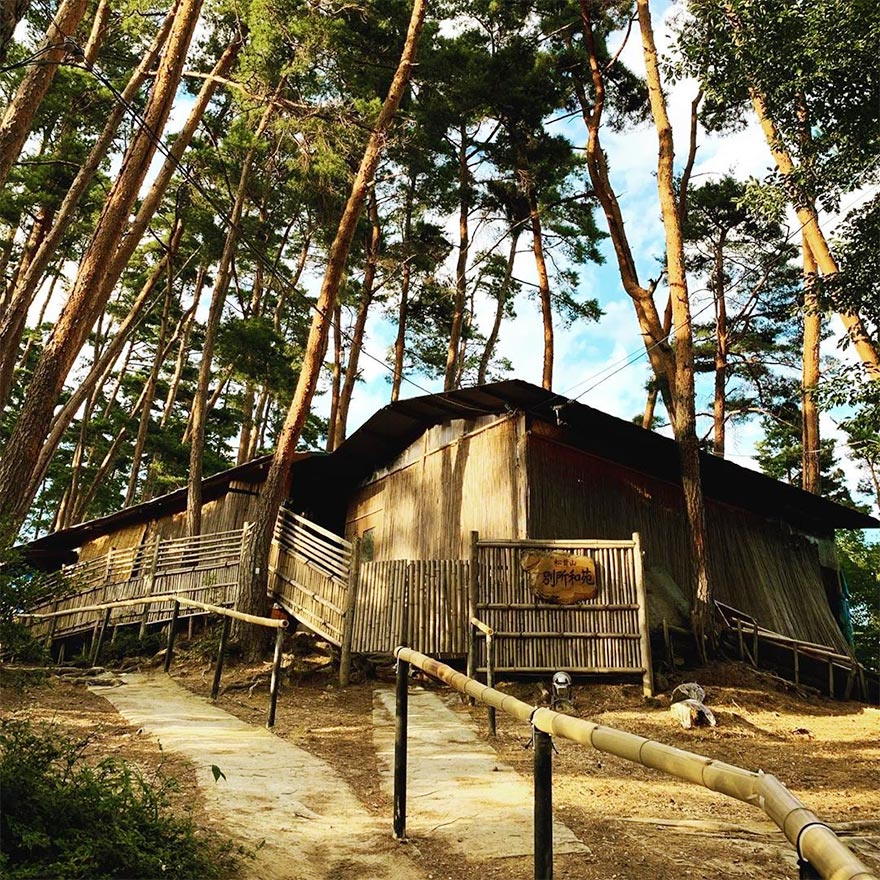 松茸の聖地 別所温泉 | 別所温泉旅館組合[公式]